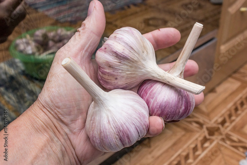 Three large bulbs of garlic in a mans hand