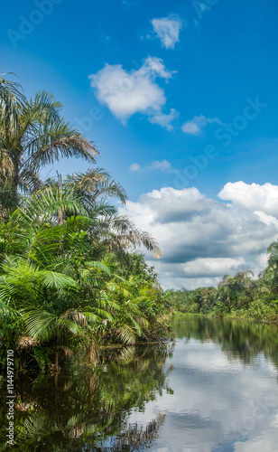 Beautiful view of the Black River photo