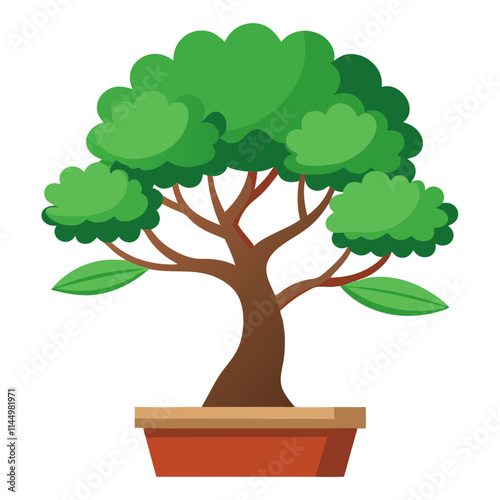 Potted bonsai tree with lush green foliage and a sturdy trunk against a plain white backdrop