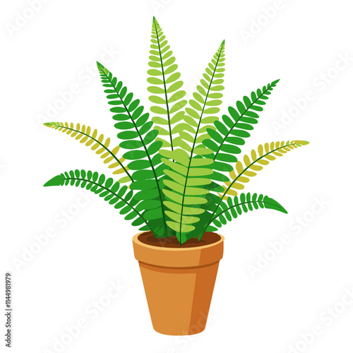 Potted Boston fern plant showcasing lush green fronds on a clean white background for brightening any indoor space