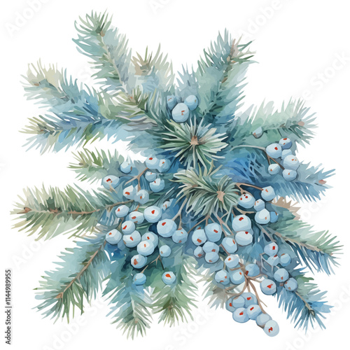 watercolor Christmas frosted pine branches painting collection isolated on a white background, vector flat watercolor design painting, Christmas design