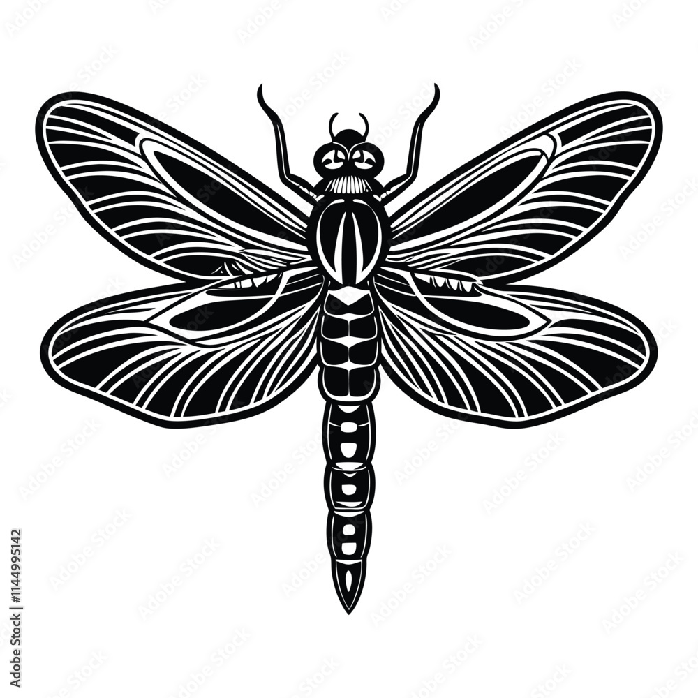 dragonfly on white background dragonfly on white background