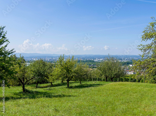 Obstgärten des Tullinger Hügels mit Blick auf die Rheinebene und Basel, den Jura und die Sundgauer Hügellandschaft am Horizont photo