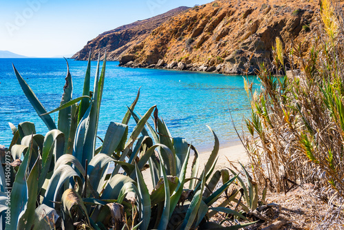 Obraz na płótnie Beautiful sandy beach and agave plants in Aigiali (Ormos Egialis) bay, Amorgos island, Cyclades, Greece w salonie