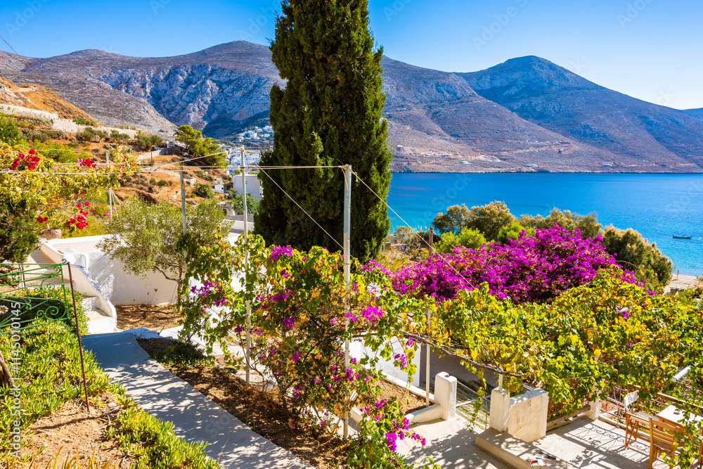 Houses and apartments decorated with flowers and tropical plants in Levrossos bay, Amorgos island, Cyclades, Greece