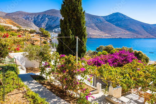 Obraz na płótnie Houses and apartments decorated with flowers and tropical plants in Levrossos bay, Amorgos island, Cyclades, Greece w salonie