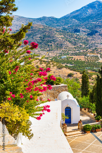 Obraz na płótnie Colorful flowers and tropical plants in Tholaria village with mountains in background, Amorgos island, Cyclades, Greece w salonie