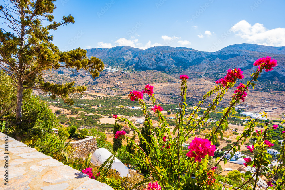 Colorful flowers and tropical plants in Tholaria village with mountains in background, Amorgos island, Cyclades, Greece