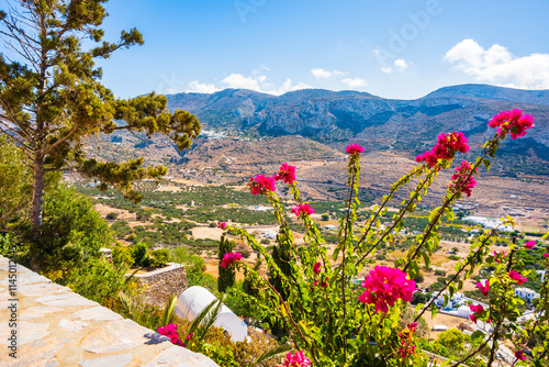 Obraz na płótnie Colorful flowers and tropical plants in Tholaria village with mountains in background, Amorgos island, Cyclades, Greece w salonie