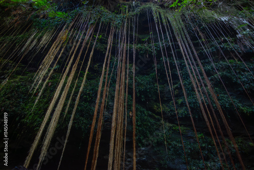 View of Cânion Sussuapara (Canyon Sussuapara) at Jalapão State Park - Tocantins, Brazil photo