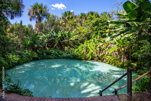 View of Fervedouro Bela Vista, a  unique karst spring located at Jalapão State Park - Tocantins, Brazil
