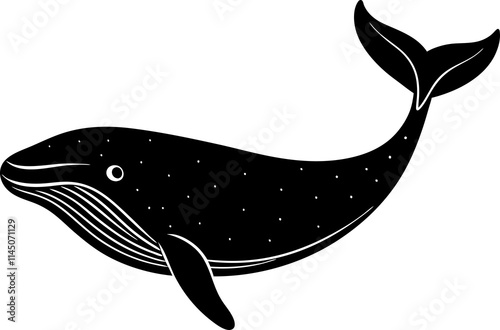 Blue-whale photo