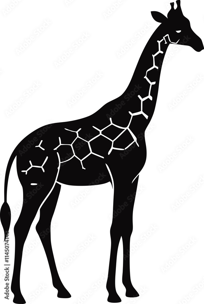 Obraz premium giraffe-silhouette