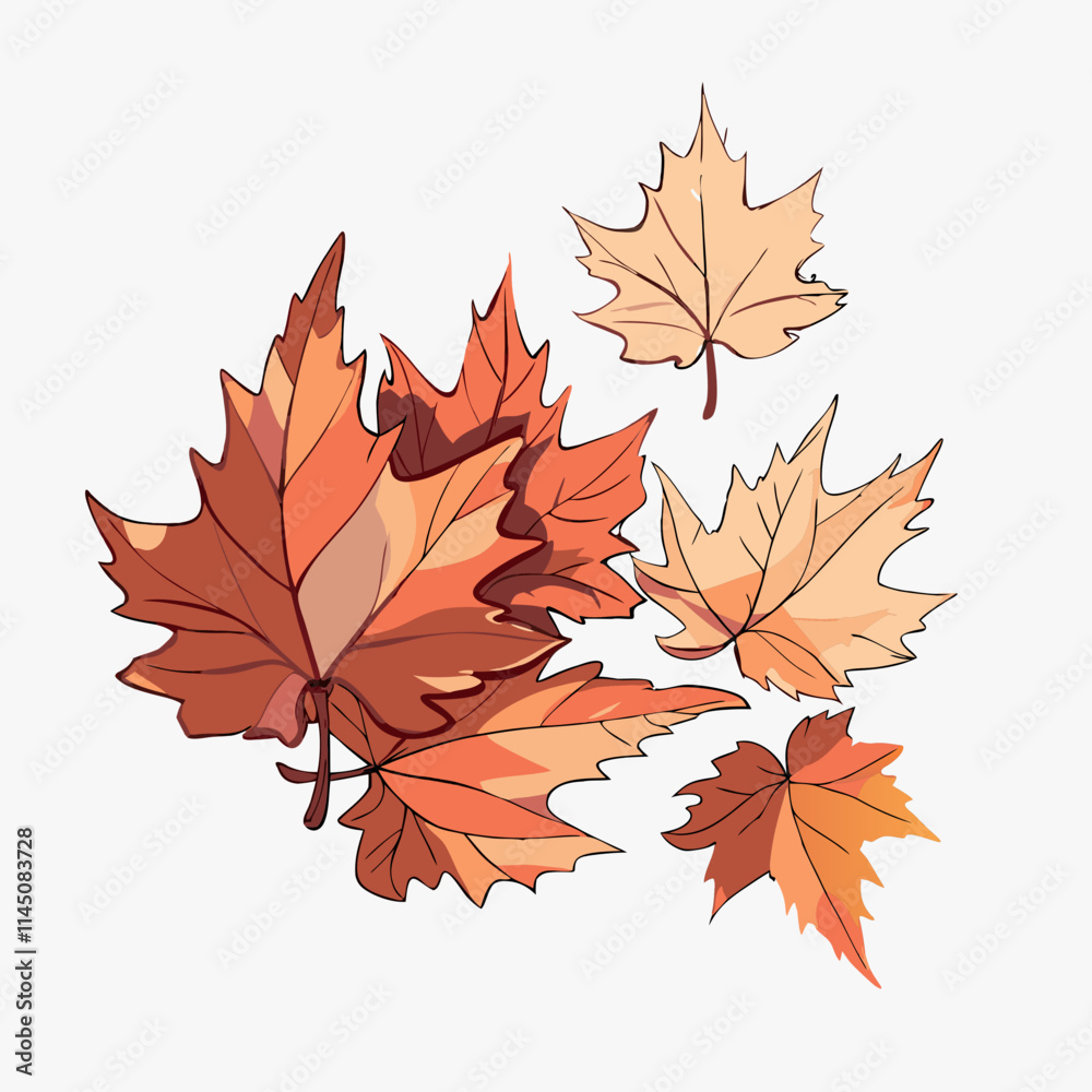 autumn leaves isolated

