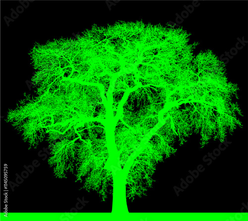 ramas, arbol, dechado, vector, encaje, negro, designio, floral, empapelar, arte, ilustración, flor, con textura