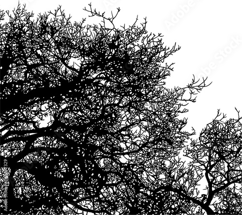 ramas, arbol, dechado, vector, encaje, negro, designio, floral, empapelar, arte, ilustración, flor, con textura