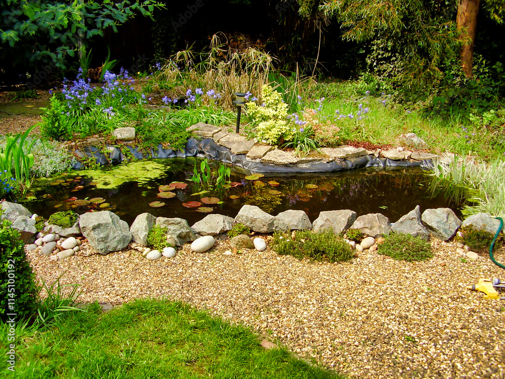 Obraz premium View of a maturing garden pond with water lilies and surrounded by plants 