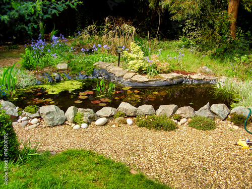 View of a maturing garden pond with water lilies and surrounded by plants
