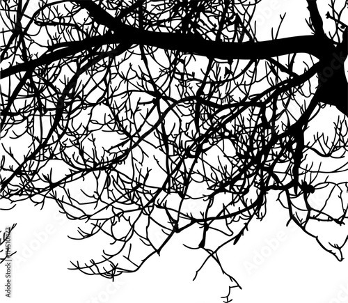 ramas, arbol, dechado, vector, encaje, negro, designio, floral, empapelar, arte, ilustración, flor, con textura