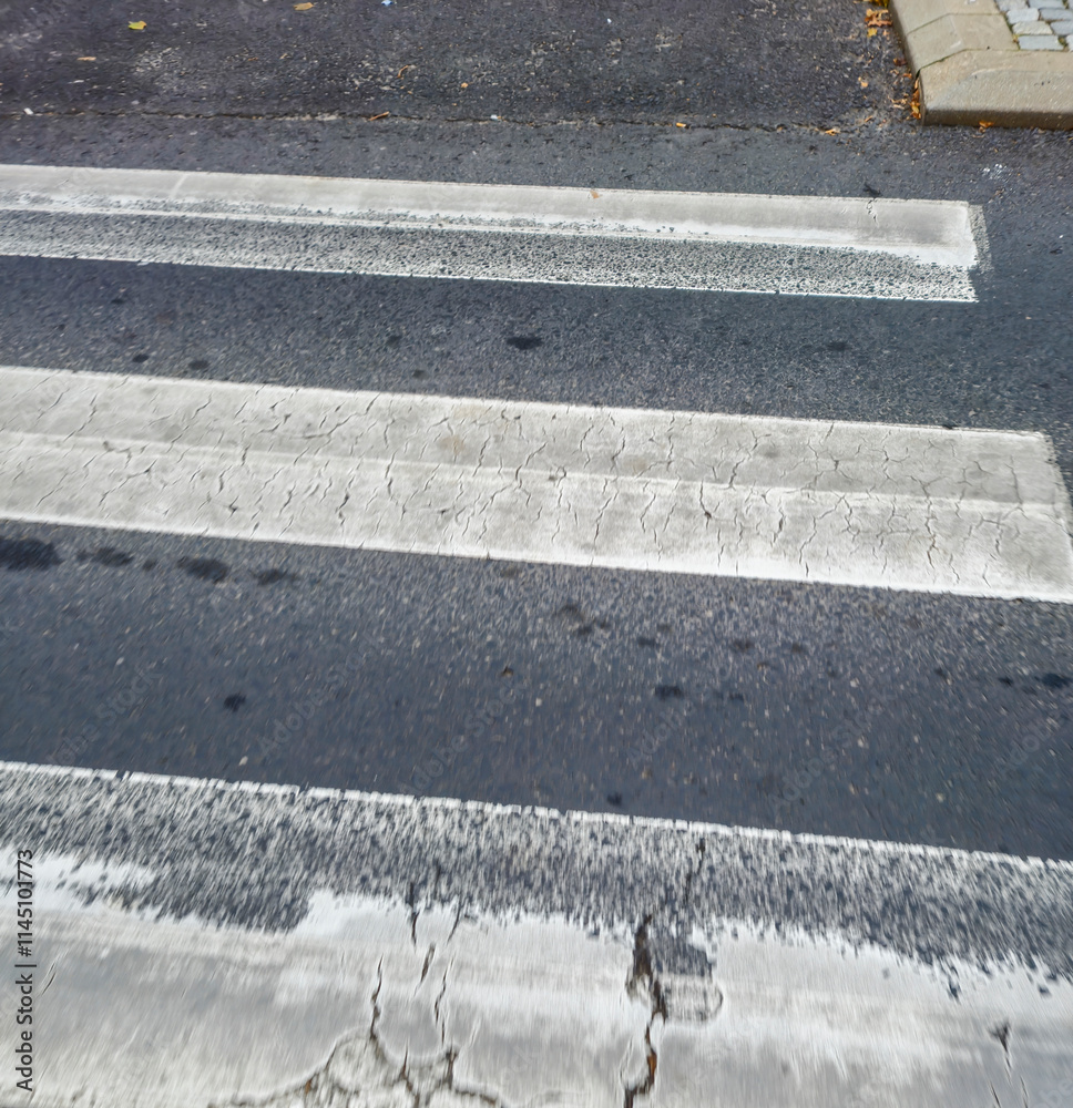 Fototapeta premium A close-up view of a crosswalk with clear white stripes on a gray asphalt road, highlighting urban infrastructure and pedestrian pathways.