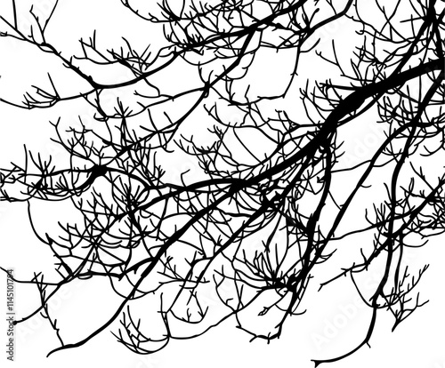ramas, arbol, dechado, vector, encaje, negro, designio, floral, empapelar, arte, ilustración, flor, con textura
