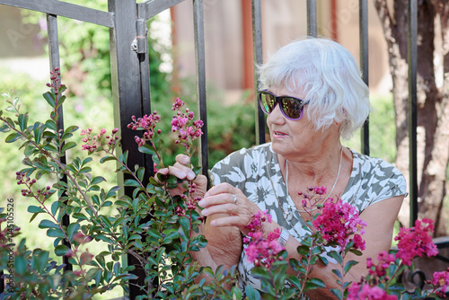 Happy senior woman smelling and touching perple flowers at summer garden. Gardener and florist old woman concept photo