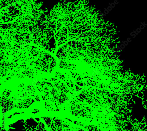 ramas, arbol, dechado, vector, encaje, negro, designio, floral, empapelar, arte, ilustración, flor, con textura