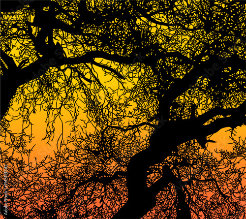 ramas, arbol, dechado, vector, encaje, negro, designio, floral, empapelar, arte, ilustración, flor, con textura