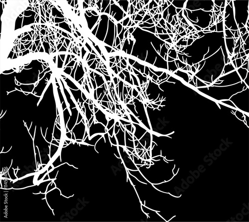 ramas, arbol, dechado, vector, encaje, negro, designio, floral, empapelar, arte, ilustración, flor, con textura
