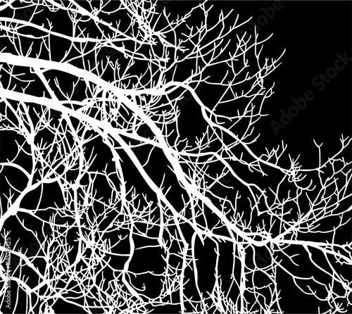ramas, arbol, dechado, vector, encaje, negro, designio, floral, empapelar, arte, ilustración, flor, con textura