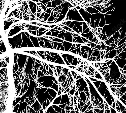 ramas, arbol, dechado, vector, encaje, negro, designio, floral, empapelar, arte, ilustración, flor, con textura