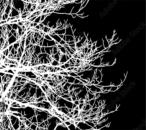 ramas, arbol, dechado, vector, encaje, negro, designio, floral, empapelar, arte, ilustración, flor, con textura