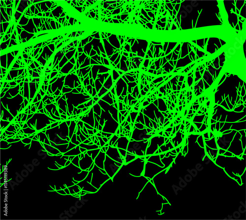 ramas, arbol, dechado, vector, encaje, negro, designio, floral, empapelar, arte, ilustración, flor, con textura