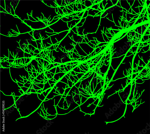 ramas, arbol, dechado, vector, encaje, negro, designio, floral, empapelar, arte, ilustración, flor, con textura