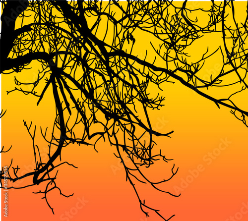 ramas, arbol, dechado, vector, encaje, negro, designio, floral, empapelar, arte, ilustración, flor, con textura