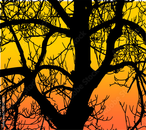 ramas, arbol, dechado, vector, encaje, negro, designio, floral, empapelar, arte, ilustración, flor, con textura