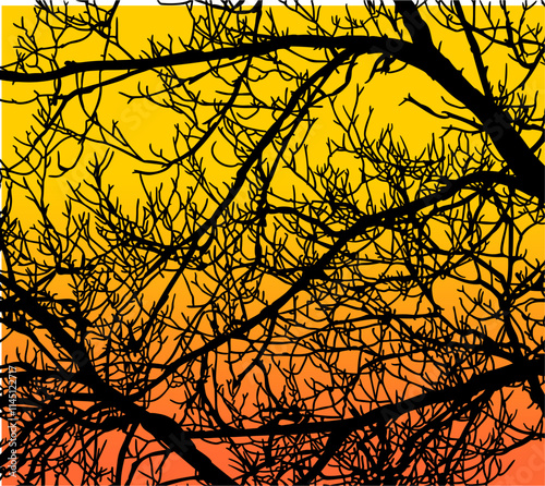 ramas, arbol, dechado, vector, encaje, negro, designio, floral, empapelar, arte, ilustración, flor, con textura