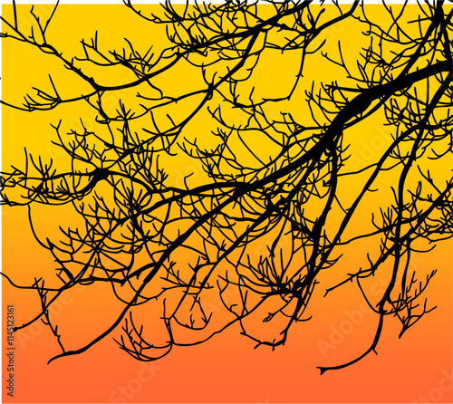 ramas, arbol, dechado, vector, encaje, negro, designio, floral, empapelar, arte, ilustración, flor, con textura