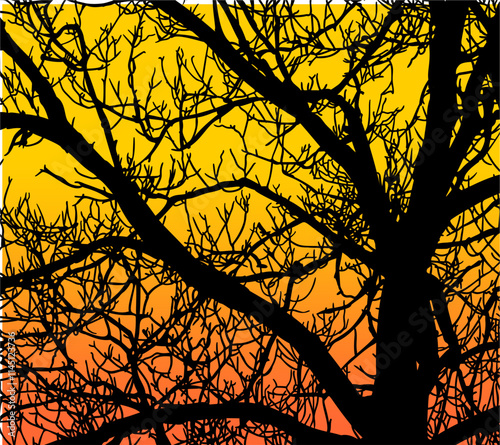 ramas, arbol, dechado, vector, encaje, negro, designio, floral, empapelar, arte, ilustración, flor, con textura