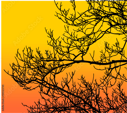 ramas, arbol, dechado, vector, encaje, negro, designio, floral, empapelar, arte, ilustración, flor, con textura