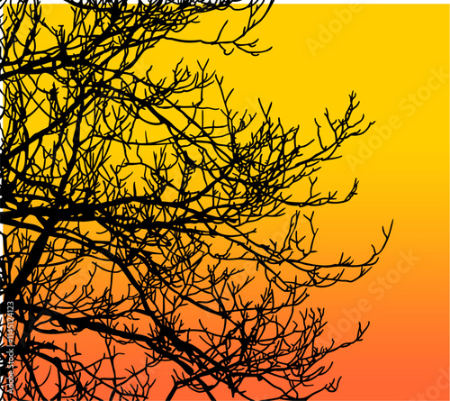 ramas, arbol, dechado, vector, encaje, negro, designio, floral, empapelar, arte, ilustración, flor, con textura