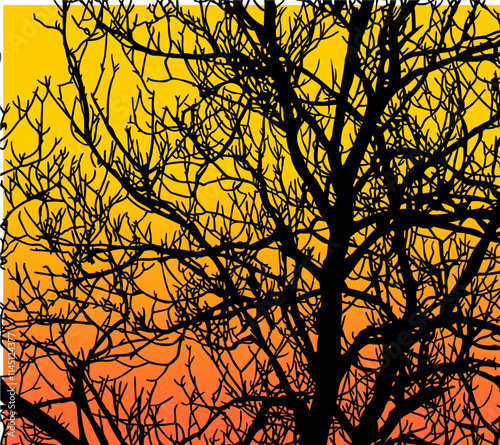 ramas, arbol, dechado, vector, encaje, negro, designio, floral, empapelar, arte, ilustración, flor, con textura