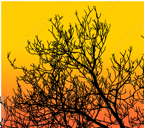 ramas, arbol, dechado, vector, encaje, negro, designio, floral, empapelar, arte, ilustración, flor, con textura