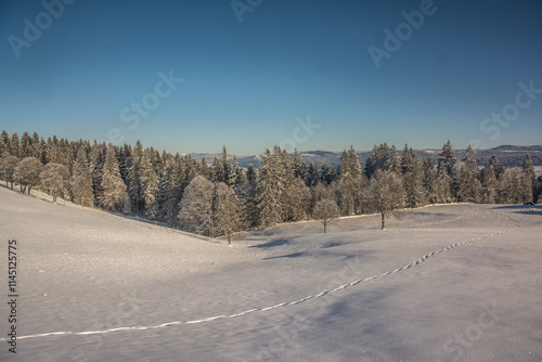 Dans la région du Locle (NE) en décembre 2020 photo