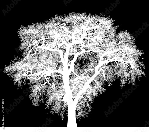 ramas, arbol, dechado, vector, encaje, negro, designio, floral, empapelar, arte, ilustración, flor, con textura