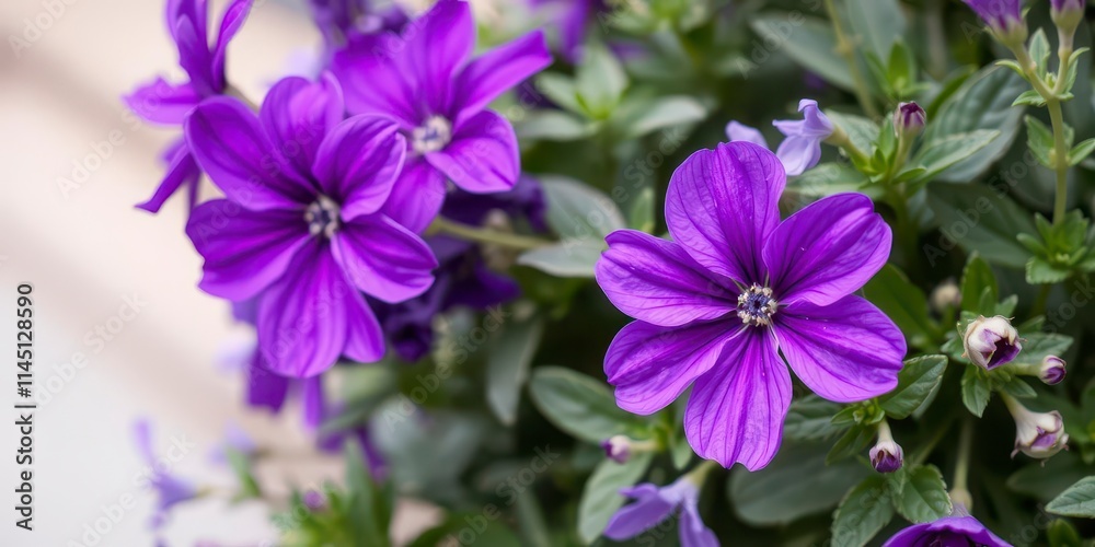 Close-up image of vibrant purple flower petals and leaves in a beautiful floral arrangement, closeup, natural Close-up image of vibrant purple flower petals and leaves in a beautiful floral arrangement, closeup, natural