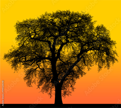 ramas, arbol, dechado, vector, encaje, negro, designio, floral, empapelar, arte, ilustración, flor, con textura