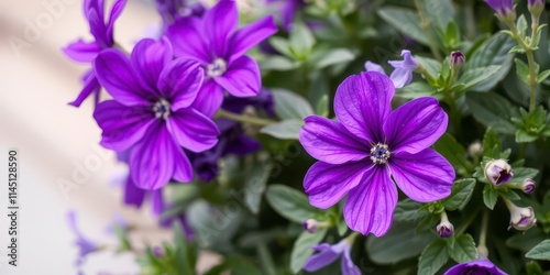 Close-up image of vibrant purple flower petals and leaves in a beautiful floral arrangement, closeup, natural