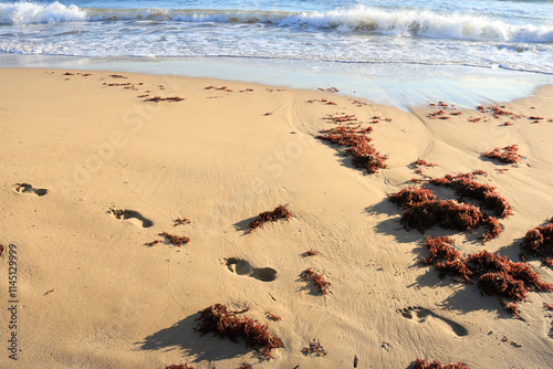 Footprints on the sand on the beach at sunrise in Arenales del Sol, Alicante photo