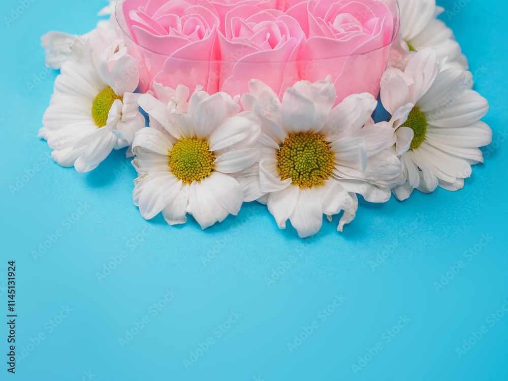 Obraz premium A heart made of six pink roses. The roses are surrounded by white daisies places on blue color simple background. Concept of love and affection. Abstract conceptual art.